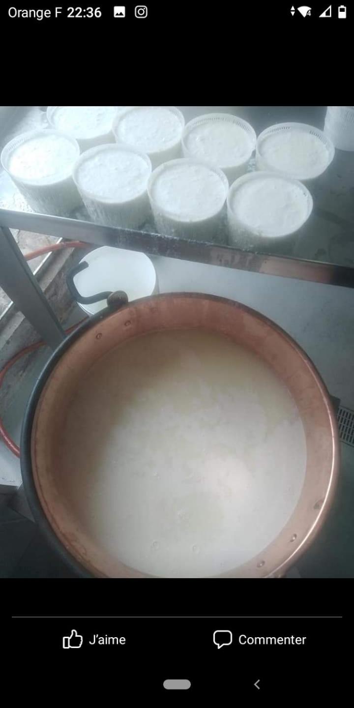 شقة U Mulinu Moita المظهر الخارجي الصورة